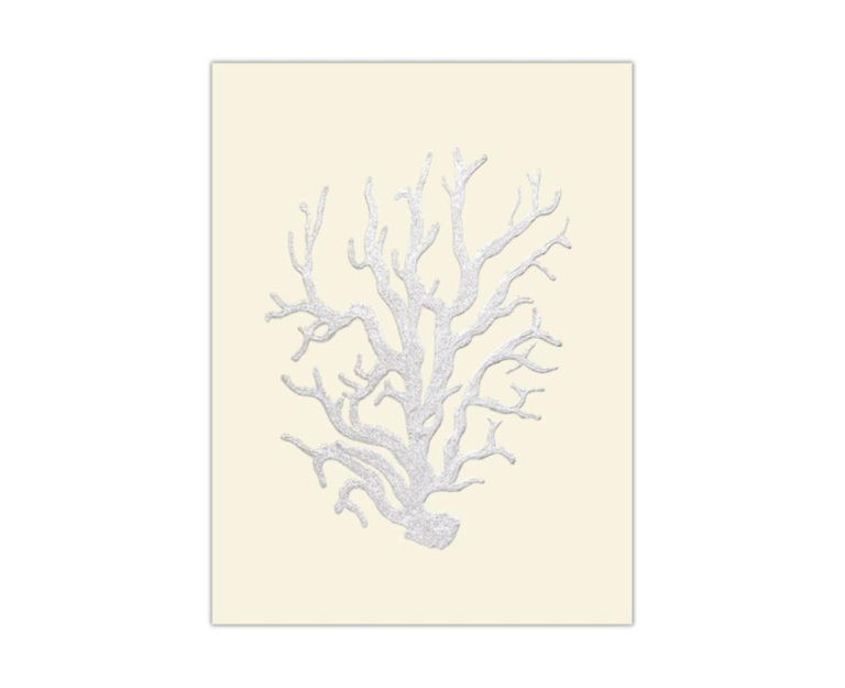 Silver Coral artwork