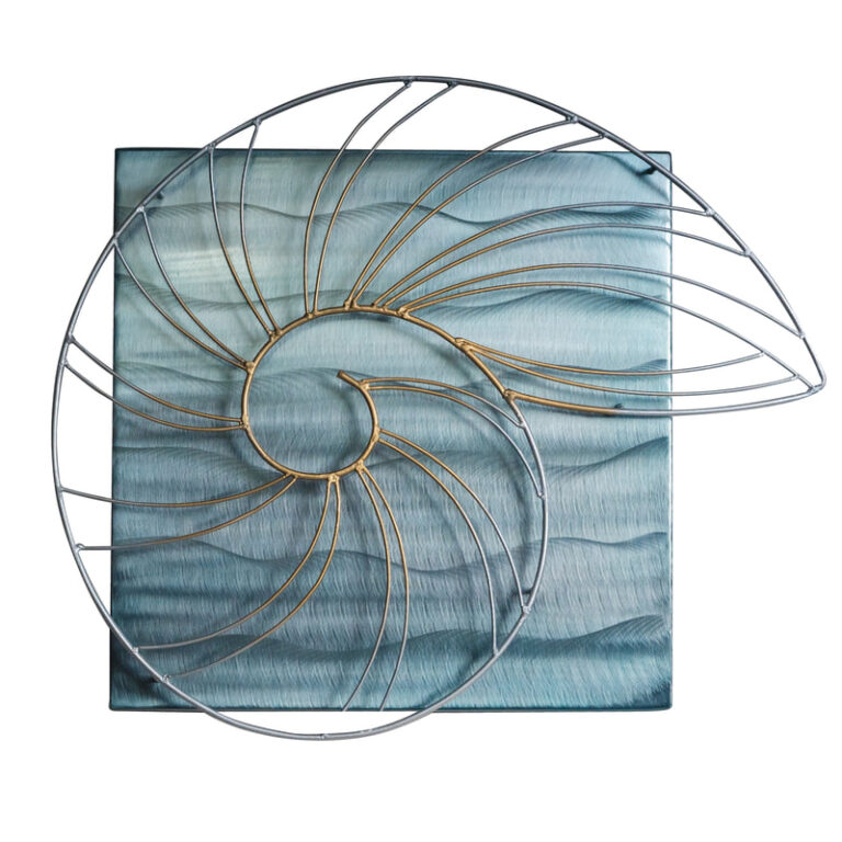 Nautilus Shell Art