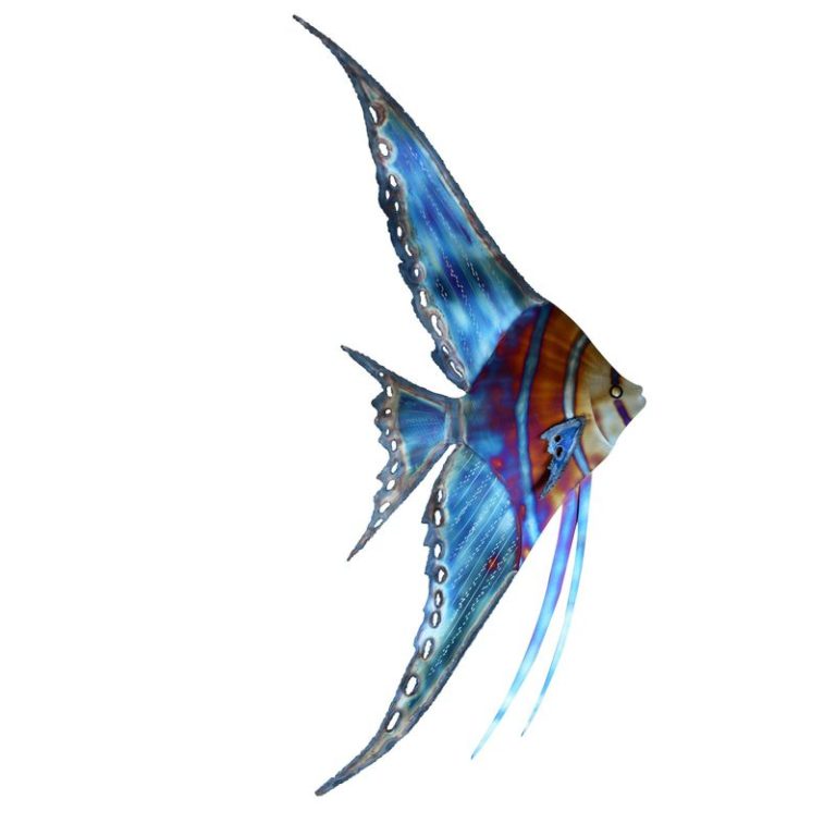 Angelfish facing right